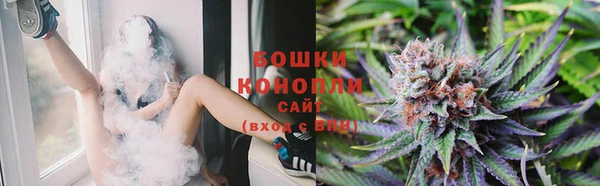 крисы Магадан
