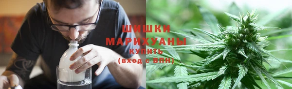 крисы Магадан
