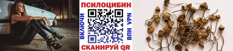 дарнет шоп  Новочеркасск  Галлюциногенные грибы мухоморы 