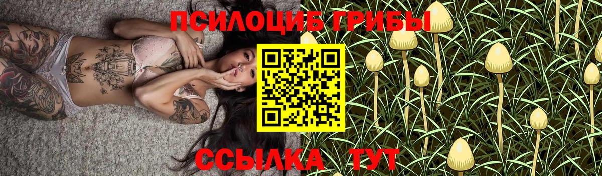 Галлюциногенные грибы Psilocybine cubensis  Вход с VPN  наркошоп  Новочеркасск 