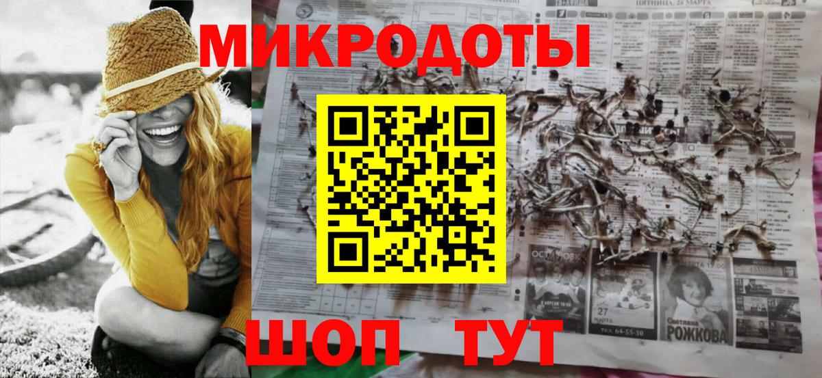 Галлюциногенные грибы Psilocybine cubensis Новочеркасск