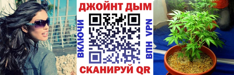 что такое наркотик  Новочеркасск  Бошки Шишки SATIVA & INDICA 